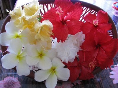 pooja_flowers-nai -subeh